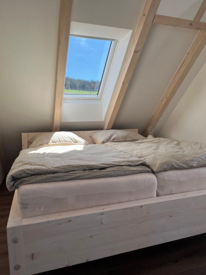 U Kralika, Apartman H, 3 Samostatne Loznice - Mezonet, Vlastni Parkovani, 50 Metru Od Vleku , Vysousece Bot V Lyzarne Долни-Морава Экстерьер фото