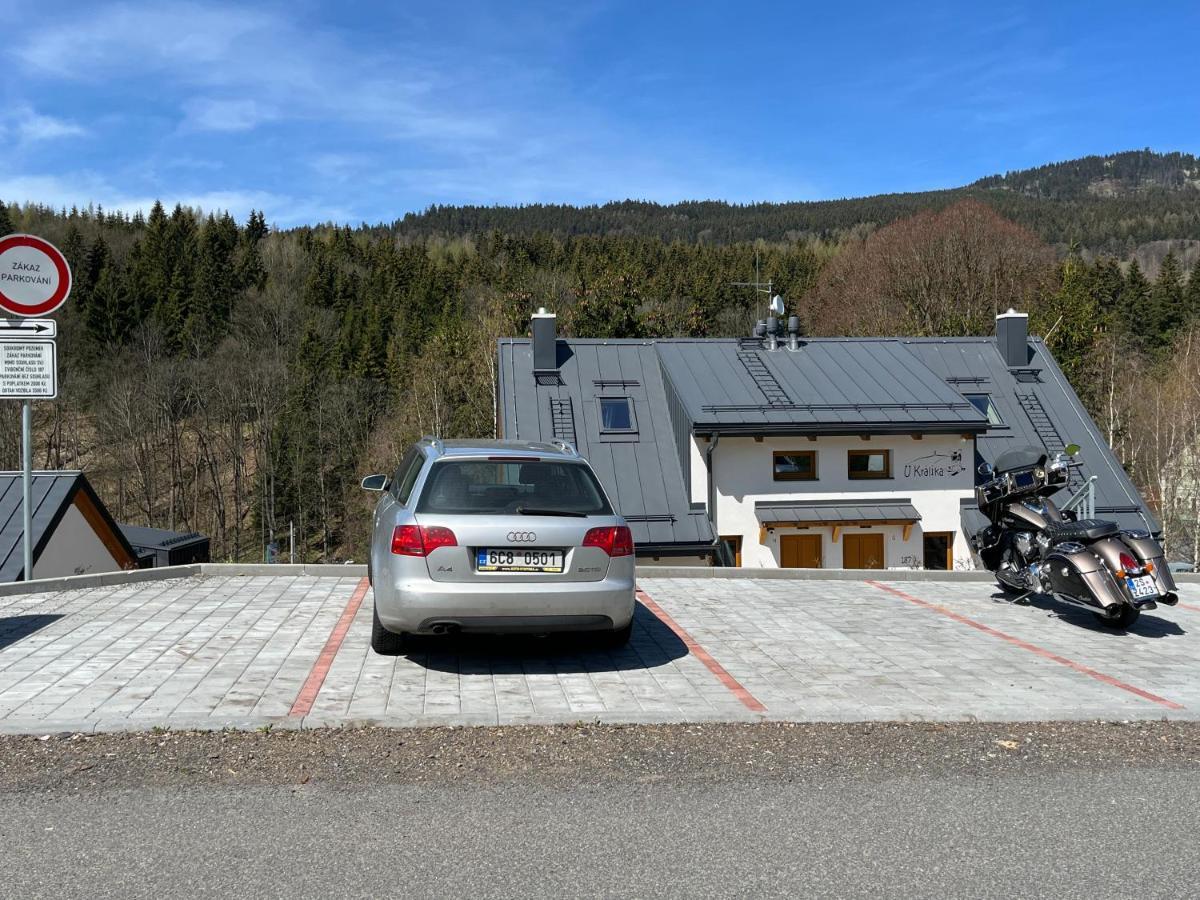 U Kralika, Apartman H, 3 Samostatne Loznice - Mezonet, Vlastni Parkovani, 50 Metru Od Vleku , Vysousece Bot V Lyzarne Долни-Морава Экстерьер фото